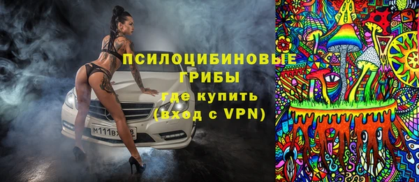 apvp Белокуриха
