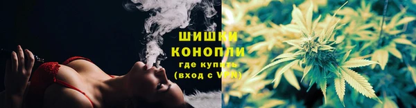 apvp Белокуриха