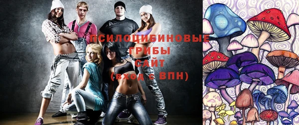 apvp Белокуриха