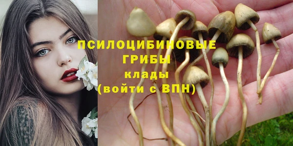 apvp Белокуриха