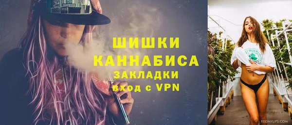 apvp Белокуриха