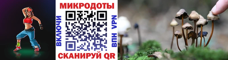 Псилоцибиновые грибы мицелий  Володарск 